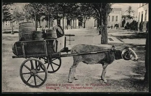 AK St. Michael, Sheep car