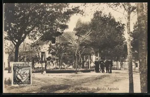 AK Santarem, Um Trecho da Escola Agricola
