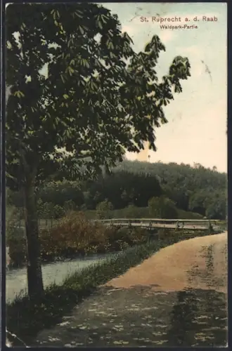 AK St. Ruprecht a. d. Raab, Waldpark-Partie