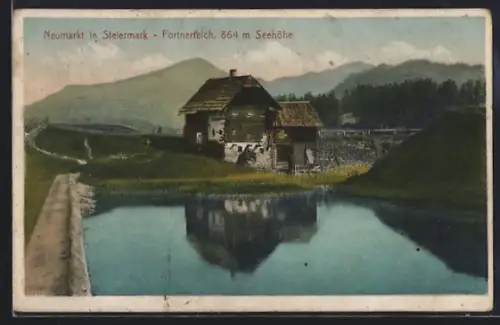 AK Neumarkt / Stmk., Fortnerteich mit Hütte