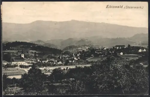 AK Eibiswald /Steiermark, Ortsansicht mit Kirche