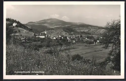 AK Schwanberg, Ortsansicht mit Kirche