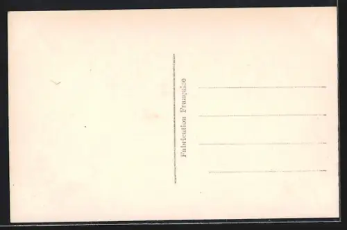 AK Monaco, Palais du Prince et la Montée Major