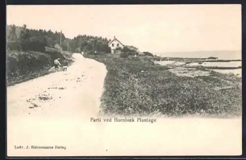AK Hornboek, Parti ved Hornboek Plantage