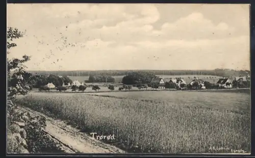 AK Trørød, Panorama