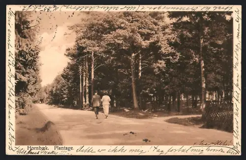 AK Hornbaek, Plantage