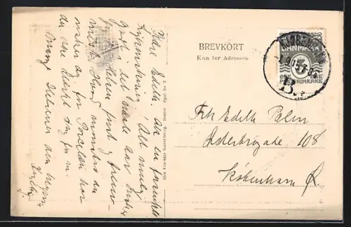 Präge-AK Frederiksborg, Slot, Passepartout