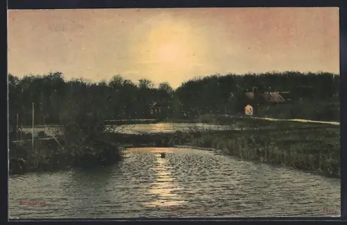 AK Svingelen, Panorama mit Bäumen