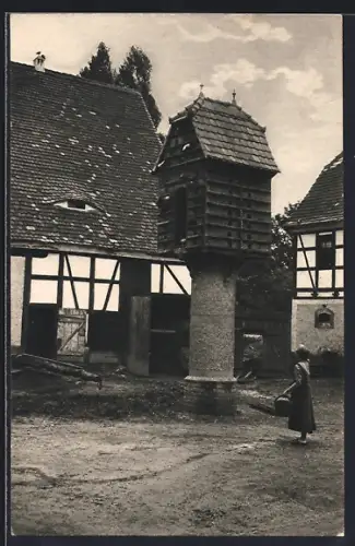 AK Röda, Der Taubenschlag