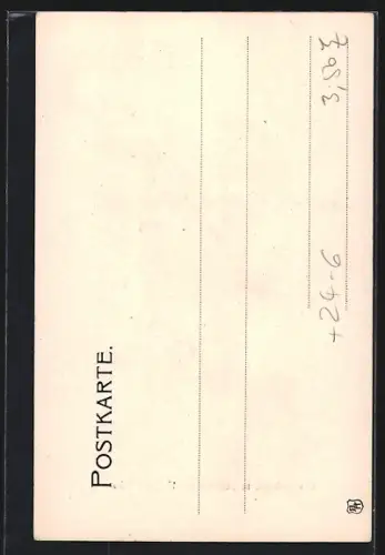 AK Schierke, Gewitterbruch am 17. Juni 1904, Kahlschlag des Waldes