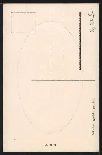 AK Wernigerode a. H., Rathaus mit Brunnen