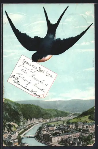 AK Bad Ems, Orstansicht aus der Vogelschau, Schwalbe