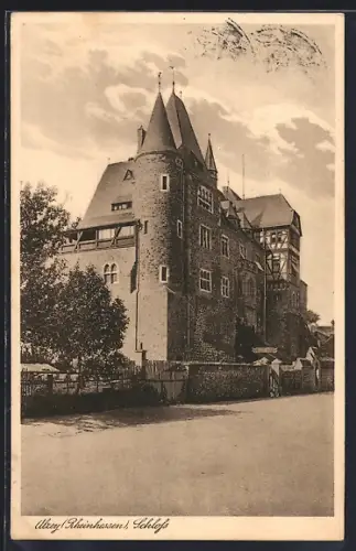 AK Alzey /Rheinhessen, Schloss