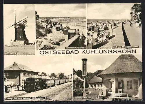 AK Kühlungsborn, Windmühle, Strand und Seebrücke, Konzertgarten-Ost, Bahnhof Kühlungsborn-Ost, Eisenbahn Molly