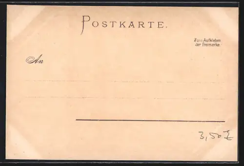 Künstler-AK C.Biese: Ratzeburg, Burgansicht