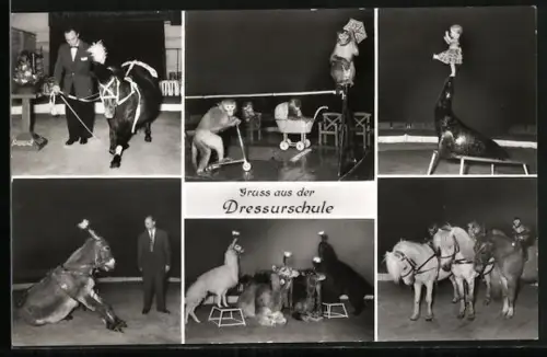 AK Hamburg-Stellingen, Carl Hagenbeck's Tierpark, Dressurschule, Affe beim Seiltanz