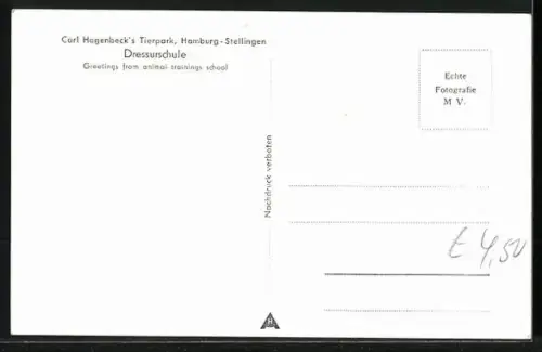 AK Hamburg-Stellingen, Carl Hagenbeck's Tierpark, Dressurschule, Affe beim Seiltanz