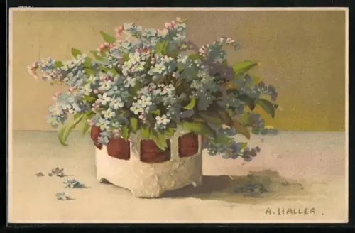 Künstler-AK A.Haller: Blumentopf