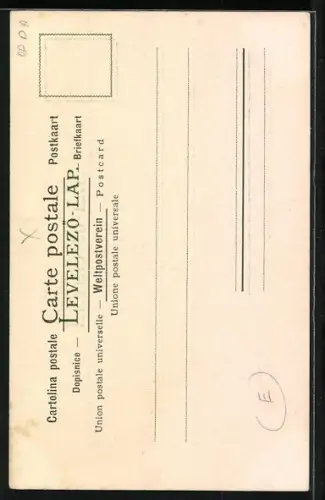 AK Harlekin umgarnt eine Maid