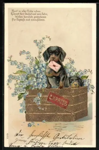 Künstler-AK Dackel mit einem Brief im Maul in einem Korb voller Blumen