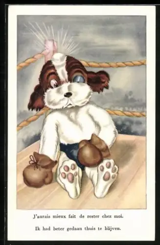 AK Hund mit Boxhandschuhe im Ring, Boxen