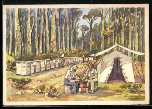 Künstler-AK Nr. 2: Wanderbienenzucht im australischen Busch, Imkerei