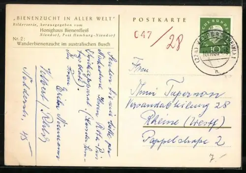 Künstler-AK Nr. 2: Wanderbienenzucht im australischen Busch, Imkerei