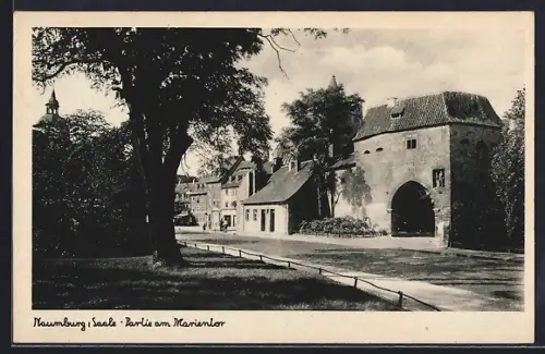 AK Naumburg /Saale, Park am Marientor