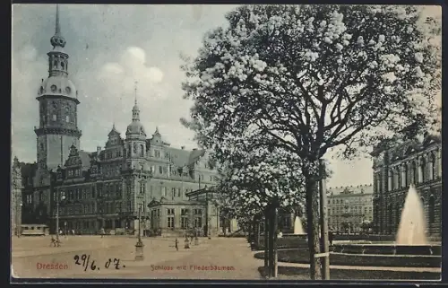 AK Dresden, Schloss mit Fliederbäumen