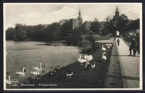 AK Stralsund, Knieperteich