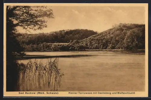 AK Bad Buckow /Märk. Schweiz, Kleiner Tornowsee, Dachsberg, Wolfsschlucht