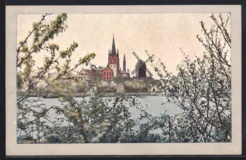 AK Werder / Havel, Ortsansicht in der Baumblüte