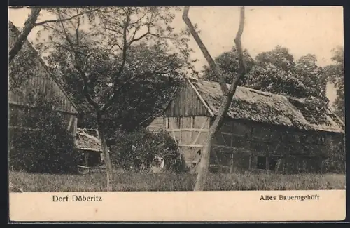AK Döberitz / Dallgow, Altes Bauerngehöft