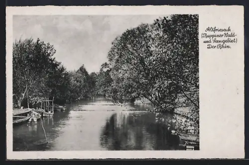 AK Altfriesack /Ruppiner Wald- und Seengebiet, Der Rhin, Flusslandschaft, Ufer, Boote