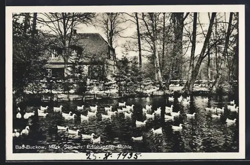 AK Bad-Buckow /Märk. Schweiz, Pritzhagener Mühle