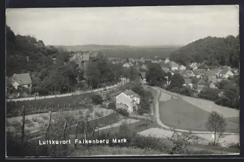 AK Falkenberg /Mark, Ortsansicht