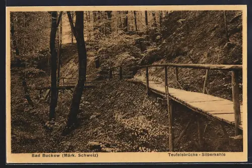AK Bad Buckow /Märk. Schweiz, Teufelsbrücke, Silberkehle