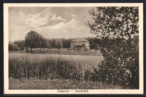 AK Duberow /Neubrück, Landschaftsansicht mit Gehöft
