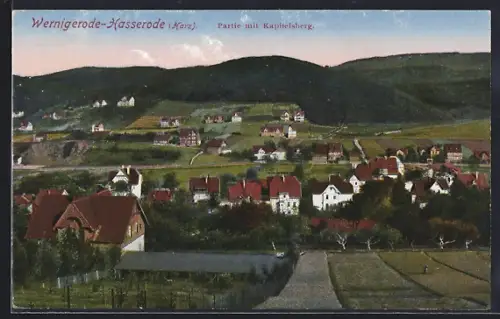 AK Wernigerode-Hasserode /Harz, Partie mit Kapitelsberg