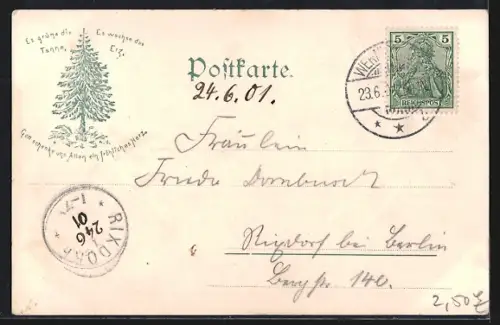 AK Wernigerode, Rathaus mit Marktplatz