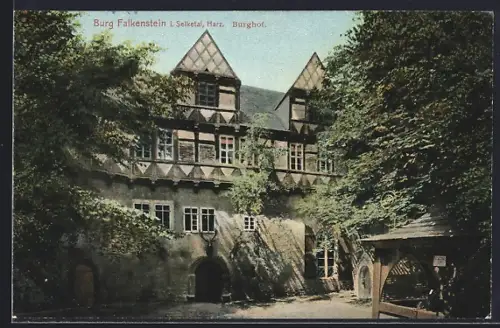 AK Burg Falkenstein i. Selketal, Burghof
