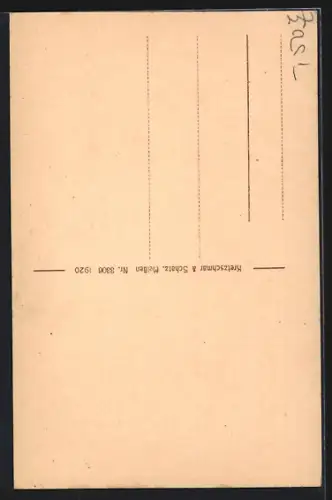 AK Freiberg /Sa., Der Dom