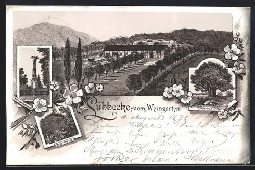 Lithographie Lübbecke, Weingarten, Kriegerdenkmal, Wartturm, Reinebergs Linde