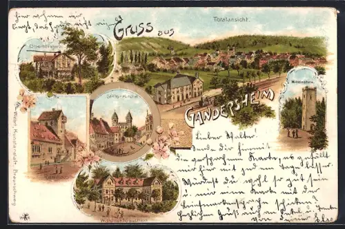 Lithographie Bad Gandersheim, Stiftskirche, Oberförsterei, Rathaus, Waldschlösschen, Wilhelmsturm, Totalansicht