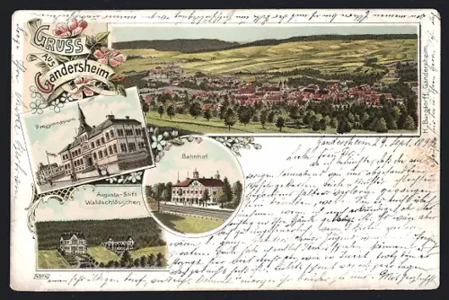 Lithographie Bad Gandersheim, Progymnasium, Bahnhof, Augusta-Stift Waldschlösschen, Panorama