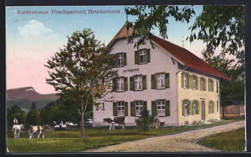 AK Bruderholz, Gaststätte Kaffeehalle zum Predigerhof mit Garten