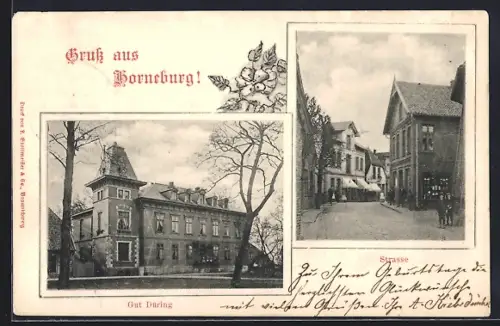 AK Horneburg, Gut Düring, Strassenpartie