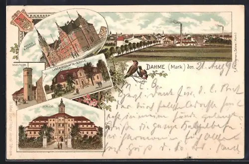 Lithographie Dahme /Mark, Schloss, Vogelthurm, Rathaus u. Postamt, Landwirtschafts-Schule