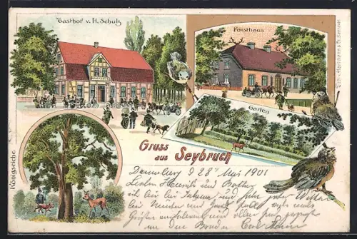 Lithographie Seybruch / Elbe, Hasthof v. H. Schulz, Forsthaus, Königseiche