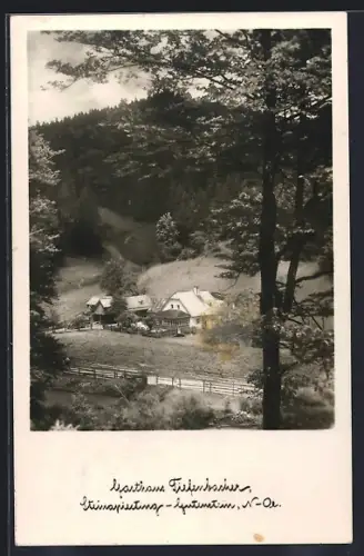 AK Steinapiesting-Gutenstein /N.-Oe., Gasthaus Tiefenbacher